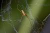 264595 – Photo : D. Martinez – Philippines